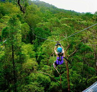 Canyon Flyer - Attractions Brisbane