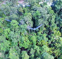 Southern Cross Day Tours Gold Coast - Attractions Brisbane