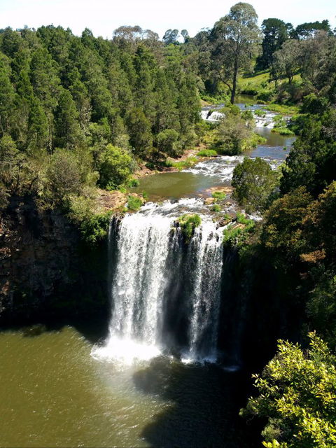 A1 Coffs Coast Tours - Attractions Brisbane 5