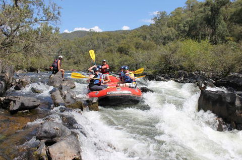 Rafting Australia - Attractions Brisbane 0
