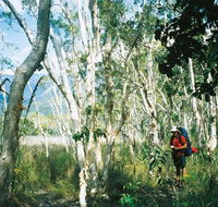 Thorsborne Trail Hinchinbrook Island National Park - Attractions Brisbane