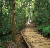 Lake Barrine Circuit Track Crater Lakes National Park - Attractions Brisbane