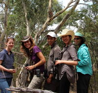 Echidna Walkabout Nature Tours - Attractions Brisbane