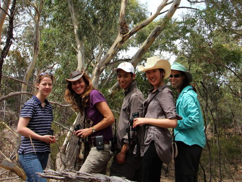 Echidna Walkabout Nature Tours - Attractions Brisbane 0