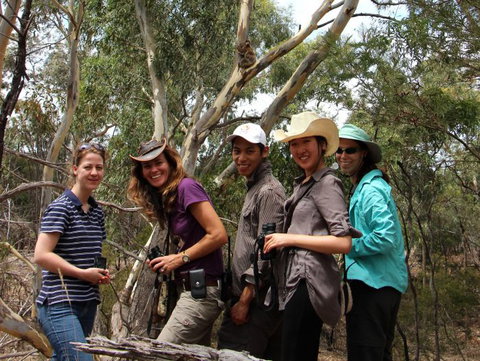 Echidna Walkabout Nature Tours - Attractions Brisbane 3