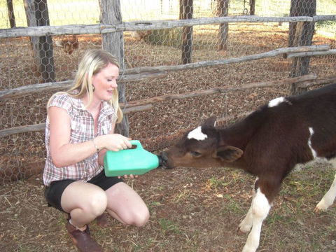 Myella Farm Stay Tours - Attractions Brisbane 1
