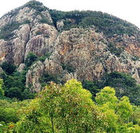 Mount Greville Track - Attractions Brisbane