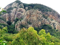 Mount Greville Track