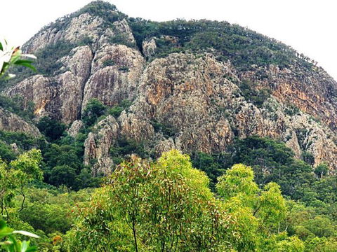 Mount Greville Track - Attractions Brisbane 1