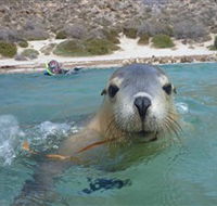 Calypso Star Charters - Attractions Brisbane