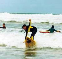 Surf Culture Australia - Attractions Brisbane