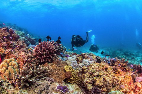 Sunreef Mooloolaba - Attractions Brisbane 6