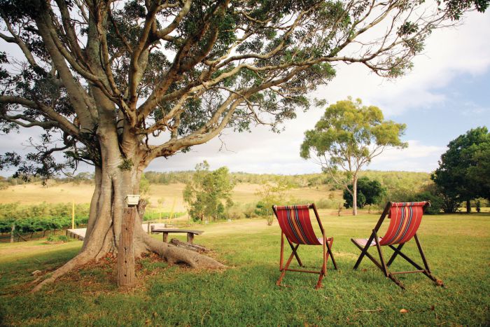 Wellcamp QLD Attractions Brisbane