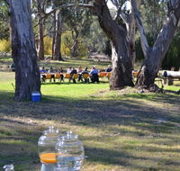Glendale Citrus  Hazelnut Orchard - Attractions Brisbane