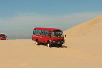 Port Stephens 4WD Tours