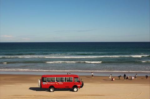 Port Stephens 4WD Tours - Attractions Brisbane 9