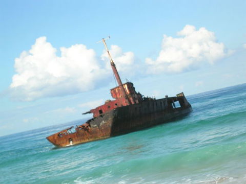 Port Stephens 4WD Tours - Attractions Brisbane 14