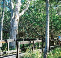 Kinaba Track - Attractions Brisbane
