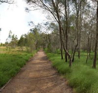 Billai dhagun Circuit Place of She-Oaks - Attractions Brisbane