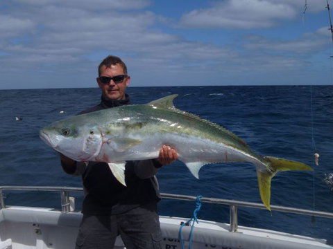 Reef Encounters Fishing Charters. - Attractions Brisbane 3
