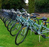 Barossa Bike  - Attractions Brisbane