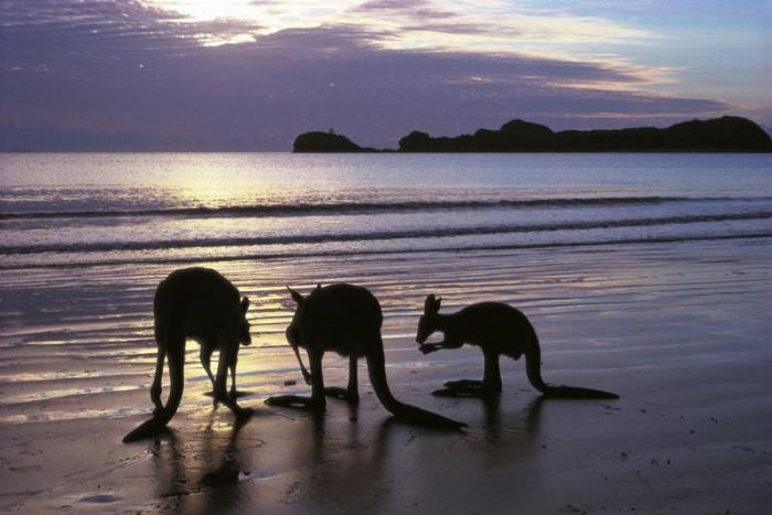 Seaforth QLD Attractions Brisbane