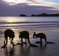 Beachcomber Cove Track - Attractions Brisbane