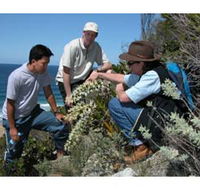 Sapphire Coast Ecotours - Attractions Brisbane