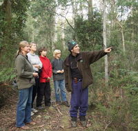 Great Western Tiers Forest Walks Tasmania - Attractions Brisbane