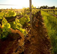 Kaesler Old Vine Vineyard Tour - Attractions Brisbane