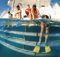 Australian Sunset Safaris - Attractions Brisbane