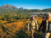 Lower Portals track Mount Barney