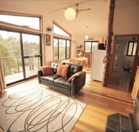 Southern Forest Accommodation - Attractions Brisbane