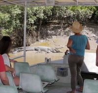 Whitsunday Crocodile Safari - Attractions Brisbane