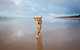 Fraser Island Adventure Tours - thumb 7