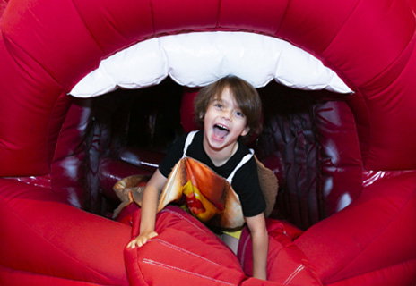 Wollongong NSW Attractions Brisbane