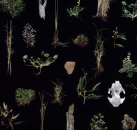 Weswal Gallery - Attractions Brisbane