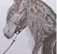 Great Lakes Art Society - Attractions Brisbane