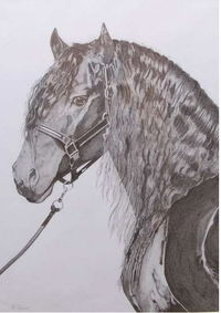 Great Lakes Art Society