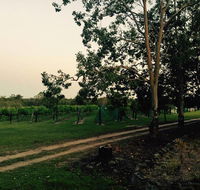 Brierley Wines - Attractions Brisbane