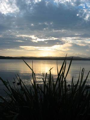 The Next Grind - Attractions Brisbane 1