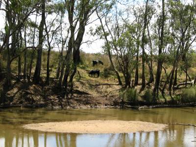 The Next Grind - Attractions Brisbane 3