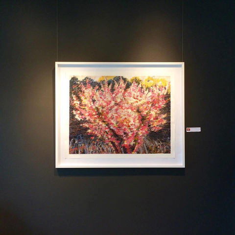 Gallery One - Attractions Brisbane 1