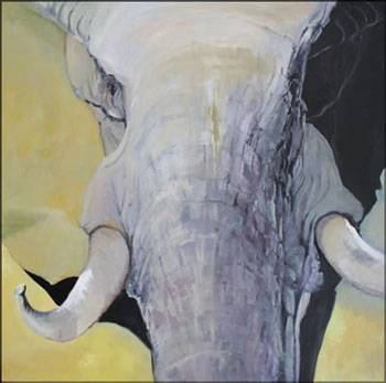 Bright Madge - Attractions Brisbane 1