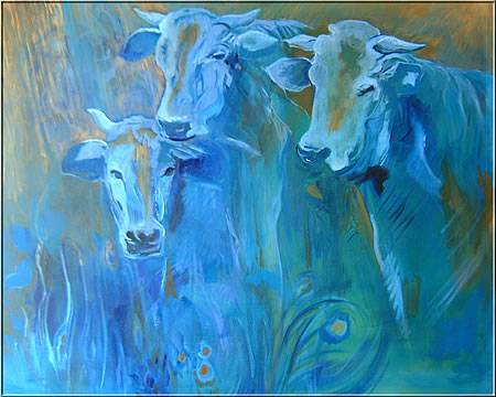 Bright Madge - Attractions Brisbane 3