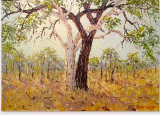 Peter Lawson Fine Art - Attractions Brisbane 1