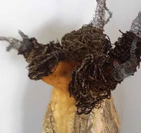 Caldera Wildscapes Gallery - Attractions Brisbane