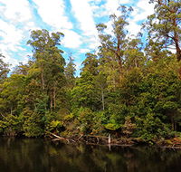 A R Reflections River Cruises - Attractions Brisbane