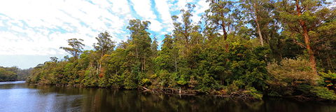 A R Reflections River Cruises - Attractions Brisbane 0
