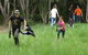 Wide Bay Laser Skirmish - thumb 2
